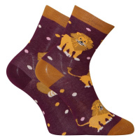 Veselé dětské ponožky Dedoles Král džungle (GMKS184)