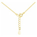 Klenoty Amber Stříbrný náhrdelník - čtyřlístek žluté zlacení