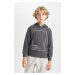 DEFACTO Boy's Hooded Printed Thick Sweatshirt