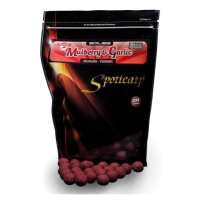Sportcarp tvrzené boilies hard ons mulberry garlic-5 kg 20 mm