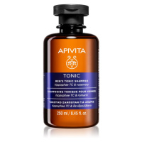 Apivita Men's Care HippophaeTC & Rosemary šampon proti vypadávání vlasů 250 ml