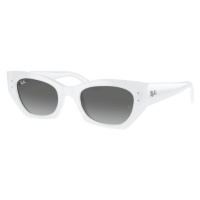 Ray-Ban RB4430 675911 - L (52)