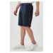 ALTINYILDIZ CLASSICS Men's Navy Blue Standard Fit Normal Fit Casual Knitted Shorts