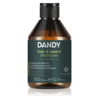 DANDY Beard & Hair Shampoo šampon na vlasy a vousy 300 ml