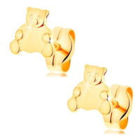 Zlaté náušnice 585 - roztomilý sedící medvídek, puzetové zapínání
