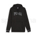 Mikina Puma Squad Hoodie TR M Puma 67896901 - puma black