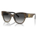 D&G Occhiali da Sole Dolce Gabbana DG4449 31638G