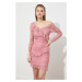 Trendyol Rose Dry Lace Detailed Tulle Dress