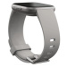 Chytré hodinky Fitbit Versa 2 Stone/Mist Grey