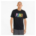 Puma SWxP Graphic Tee Pánské tričko US 533623-01