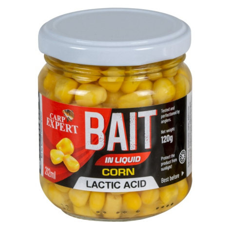 Další rybářské vybavení CARP EXPERT