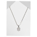 Malý dolarový náhrdelník - stříbrné barvy