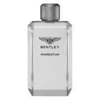 Bentley Momentum - EDT TESTER 100 ml