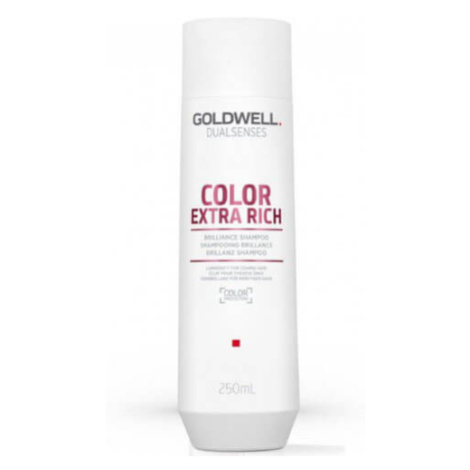 Goldwell Šampon pro extra péči o barvené vlasy Dualsenses Color Extra Rich (Brilliance Shampoo) 