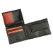 Pánská kožená peněženka Pierre Cardin Foglio - černá