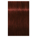 Schwarzkopf Professional IGORA Royal Absolutes barva na vlasy odstín 5-80 Light Brown Red Natura