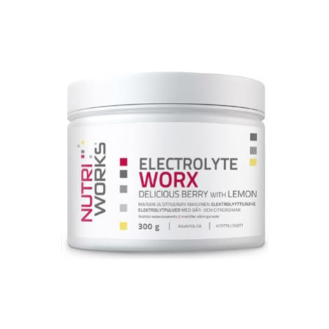 NutriWorks Electrolyte Worx NEW 300 g delicious berry with lemon Varianta: delicious berry with 