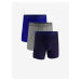 UA Perf Tech Mesh 6in Boxerky 3 ks Under Armour