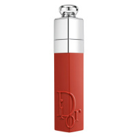 Dior Addict Lip Tint nestíratelná tónovaná barva na rty - 421 Natural Tea 3,2 g