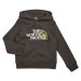 The North Face Boys Drew Peak P/O Hoodie Šedá