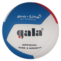 Gala Pro Line 12 BV 5595 S