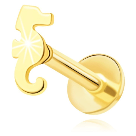 Piercing do brady a rtu ze 14K žlutého zlata - motiv mořského koníka Šperky eshop