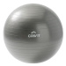 CRIVIT Gymnastický míč (65 cm)