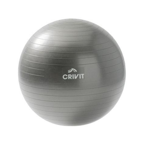 CRIVIT Gymnastický míč (65 cm)