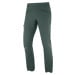 Salomon WAYFARER ALPINE PANT M LC1268500 - green