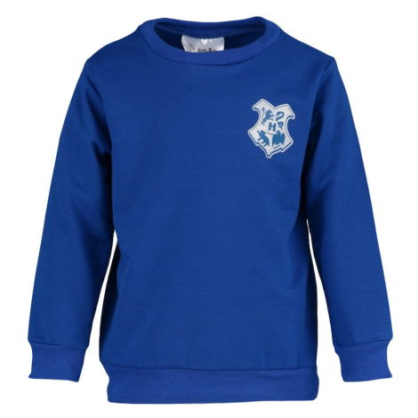 Trendyol Saks Harry Potter Printed Hoodie Boy Knitted Sweatshirt
