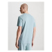 Spodní prádlo Pánská trička CREW NECK 000NM2602ECYA - Calvin Klein