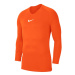 Pánské tričko Dry Park First Layer M AV2609-819 - Nike