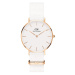 Hodinky DANIEL WELLINGTON model PETITE DOVER DW00100311