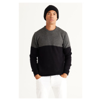 AC&Co / Altınyıldız Classics Men's Anthracite-black Standard Fit Normal Cut Crew Neck Colorblok 