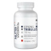 NutriWorks Tribulus Terrestris 750mg 120 kapslí