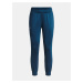 Kalhoty Under Armour Meridian CW Pant-BLU