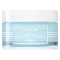 Sisley Triple-Oil Balm Make-up Remover & Cleanser odličovací a čisticí balzám na obličej a oči 1