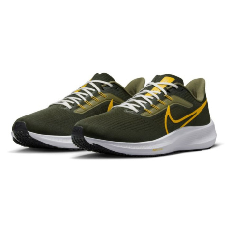 Pánské běžecké boty Pegasus 39 M FD0785-300 - Nike