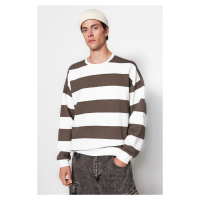 Trendyol Mink Oversize/Wide-Fit Crew Neck Striped Fleece Inner Cotton Sweatshirt