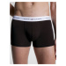 Pánské trenky 3-PACK ESSENTIAL LOGO WAISTBAND TRUNKS UM0UM027630UC šedá/černá/bílá - Tommy Hilfi