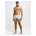 Big Star Man's Boxer Shorts Underwear 200033 Grey 901