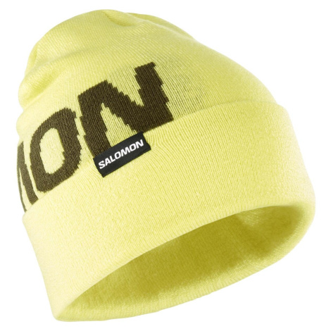 Salomon Hermitage Beanie LC2152700 - charlock