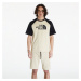 Tričko The North Face S/S Raglan Easy Tee Gravel