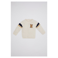 DEFACTO Baby Boy Printed Sweater