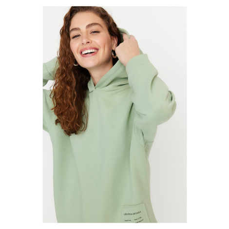 Trendyol Mint Thick Fleece Inner Printed Relaxed/Comfortable fit with a Hooded Knitted Sweatshir