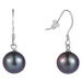JwL Luxury Pearls Stříbrné náušnice s pravou černou perlou JL0595