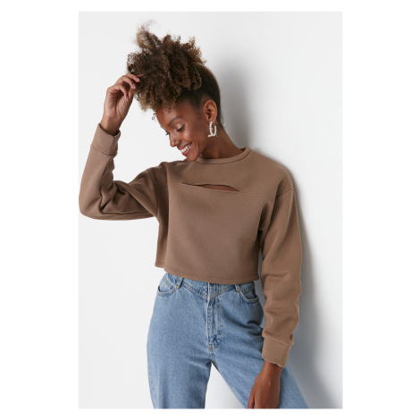 Trendyol Stone Loose Crop Collar Detailed Thin, Fleece Inside Knitted Sweatshirt