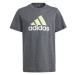 Tričko adidas Big Logo Tee Jr IJ6286