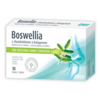 FAVEA Boswellia s chondroitinem a kolagenem 30 tablet