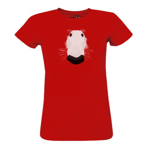 Dámské tričko Barzoj pes